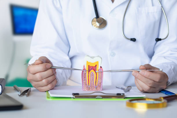 Best Emergency Dentist No Insurance  in Macom, IL